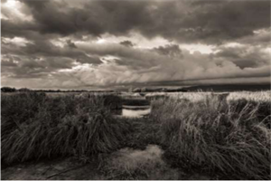 ganador foto local-concurso humedales