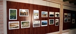 Exposición fotográfica sobre los humedales en Villarrubia de los Ojos (Ciudad Real).